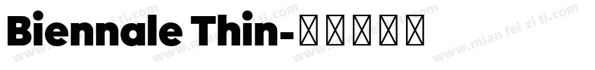 Biennale Thin字体转换